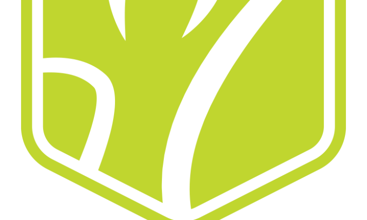 Associação Desportiva do Ensino Superior de Lisboa - Treinadores